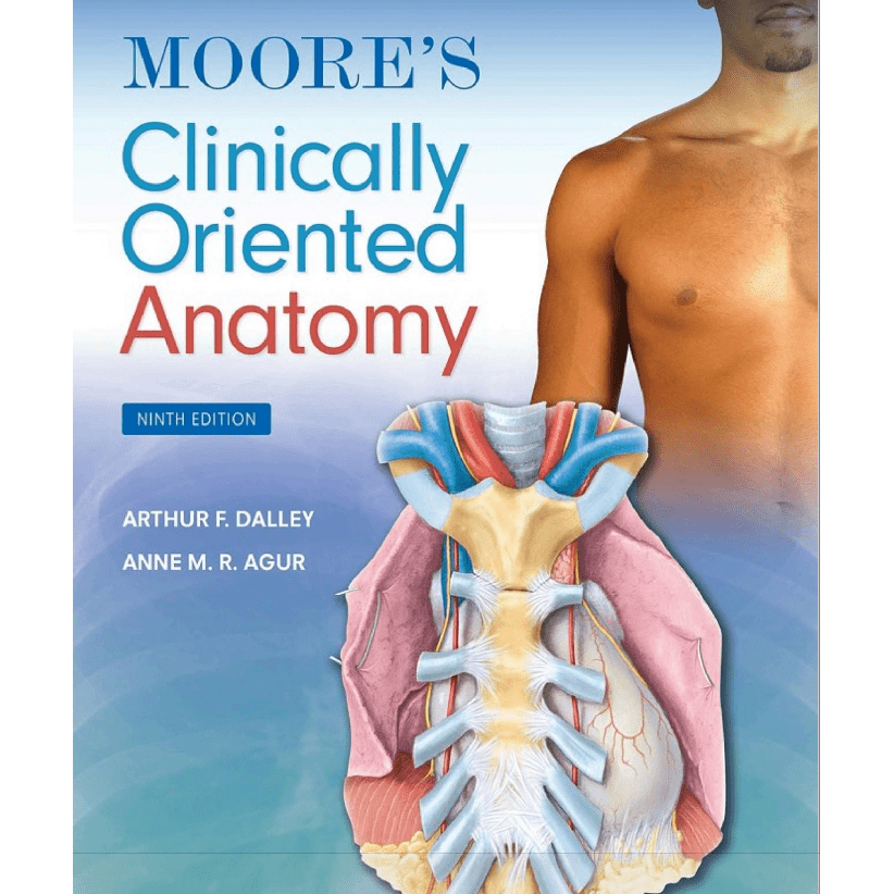 Paramedic Shop Lippincott Wilkins Textbooks Textbook Only Moore's Clinically Oriented Anatomy - 9th Edition (Revised)